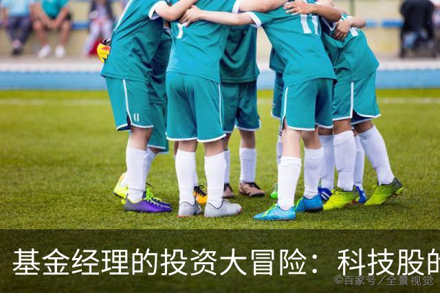基金经理的投资大冒险：科技股的涨跌离奇游戏